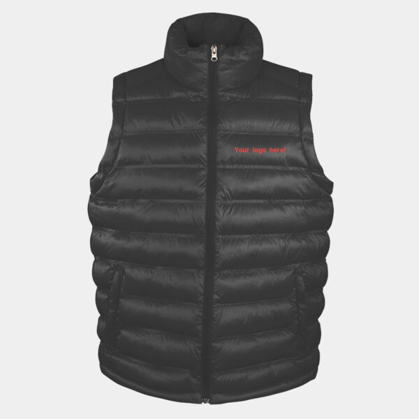 R193 Ice Bird Gilet Thumbnail